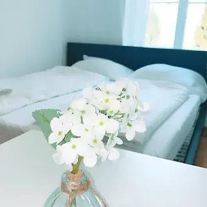 Apartamento Deluxe Double Kp, Viena